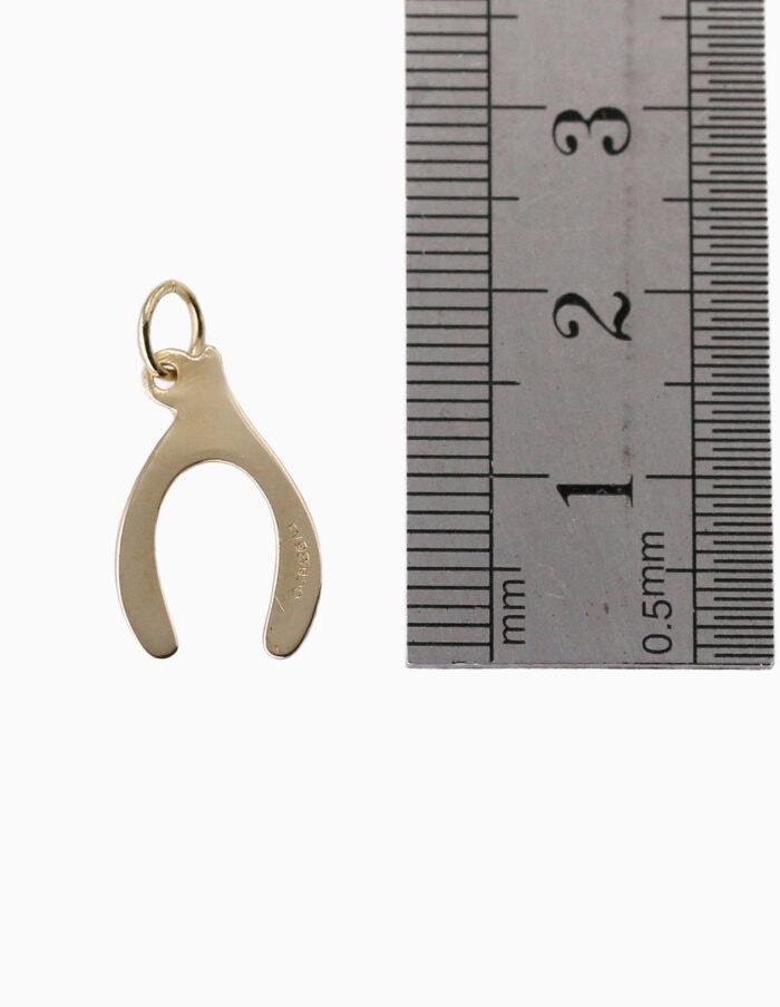 Wishbone pendant 9ct yellow gold — back view