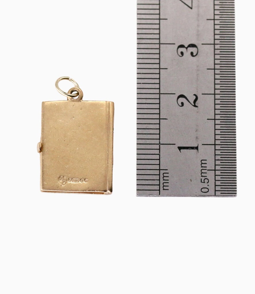Charm passport 9ct yellow gold 3.71g — back view