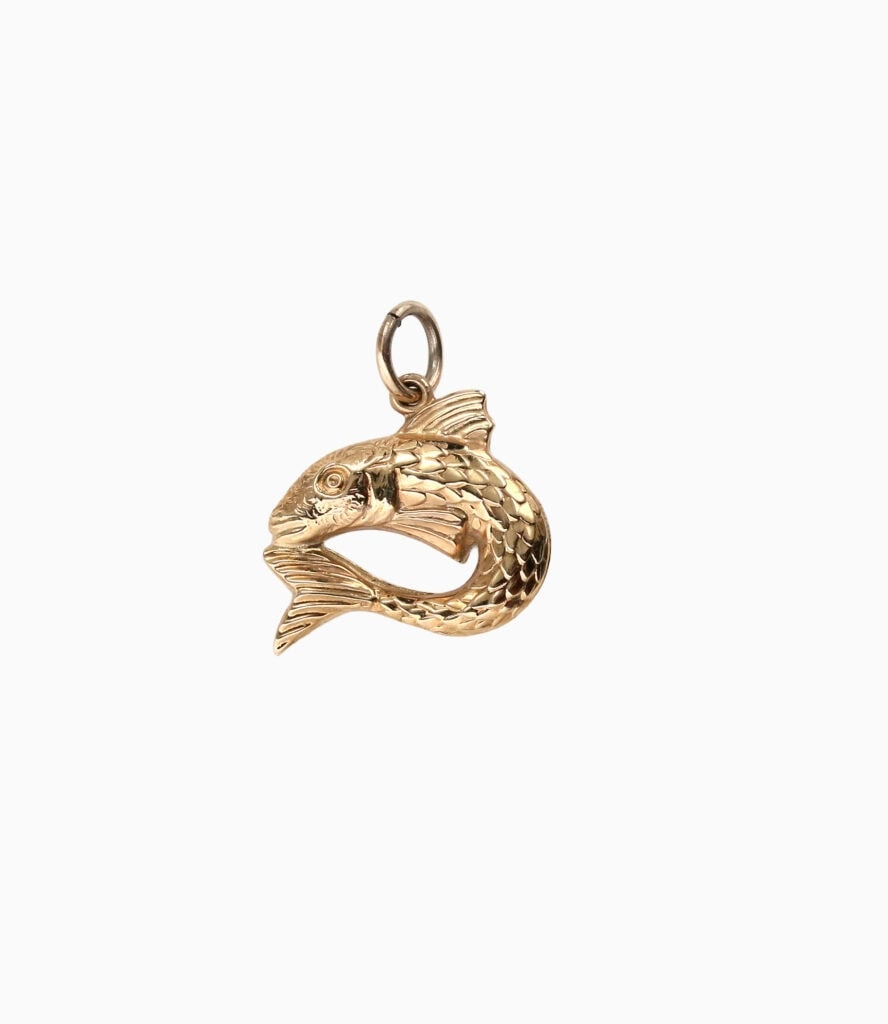 Charm hollow fish charm 9ct yellow gold 28538