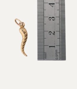 Charm hollow horn or plenty 9ct yellow gold — back view