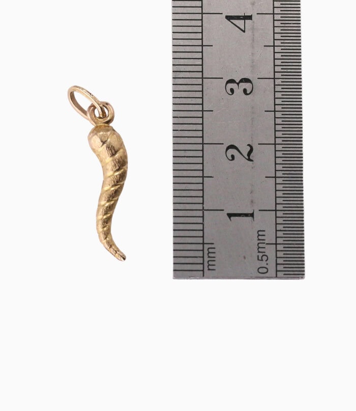 Charm hollow horn or plenty 9ct yellow gold — back view