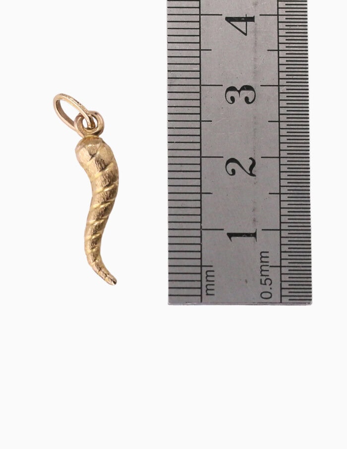 Charm hollow horn or plenty 9ct yellow gold — back view