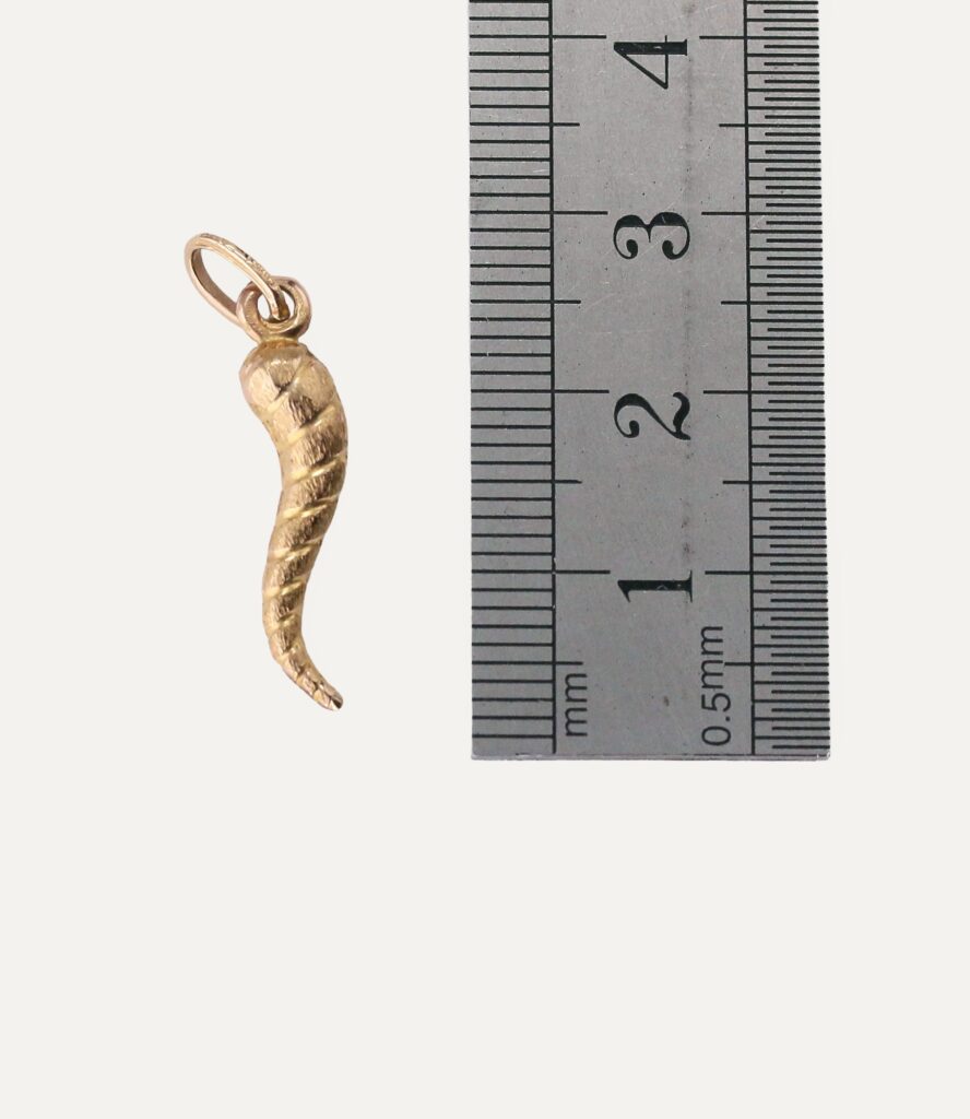 Charm hollow horn or plenty 9ct yellow gold — back view